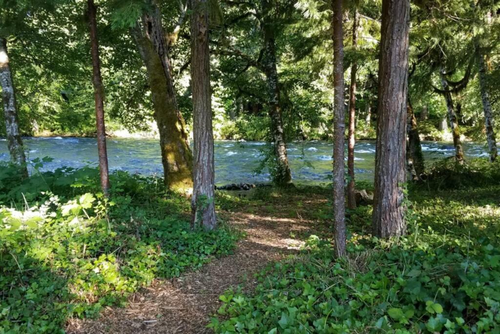 On The River Wooded Bliss Cabin Near Loloma McKenzie Bridge 외부 사진