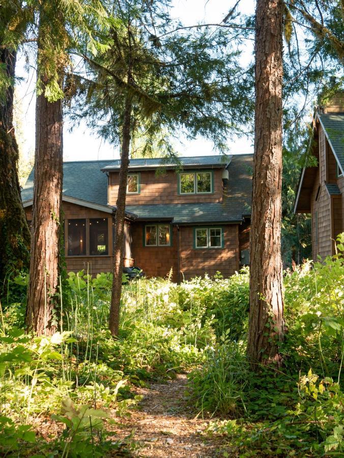 On The River Wooded Bliss Cabin Near Loloma McKenzie Bridge 외부 사진